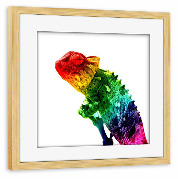 Poster mit Rahmen kiefer "Chameleon Rainbow" artboxONE - Tiere,Abstrakt