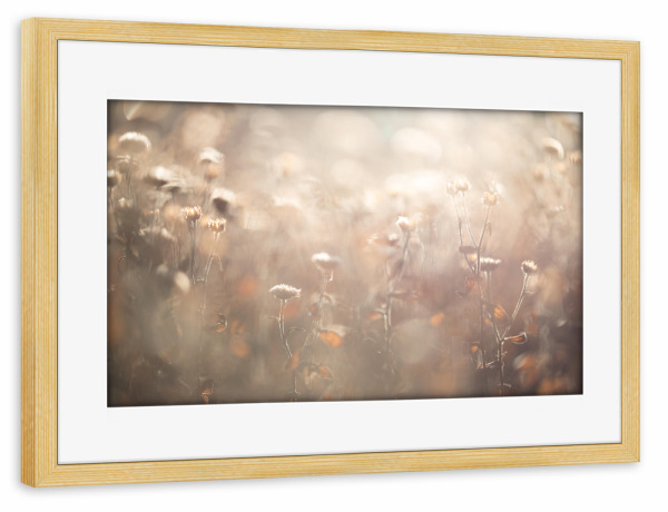 Poster mit Rahmen kiefer "Herbstliche Farben" artboxONE - Natur,Floral