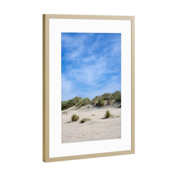 Poster mit Rahmen Gold "Dünengras am Strand auf Baltrum" artboxONE - Natur,Reise / Strand und Meer