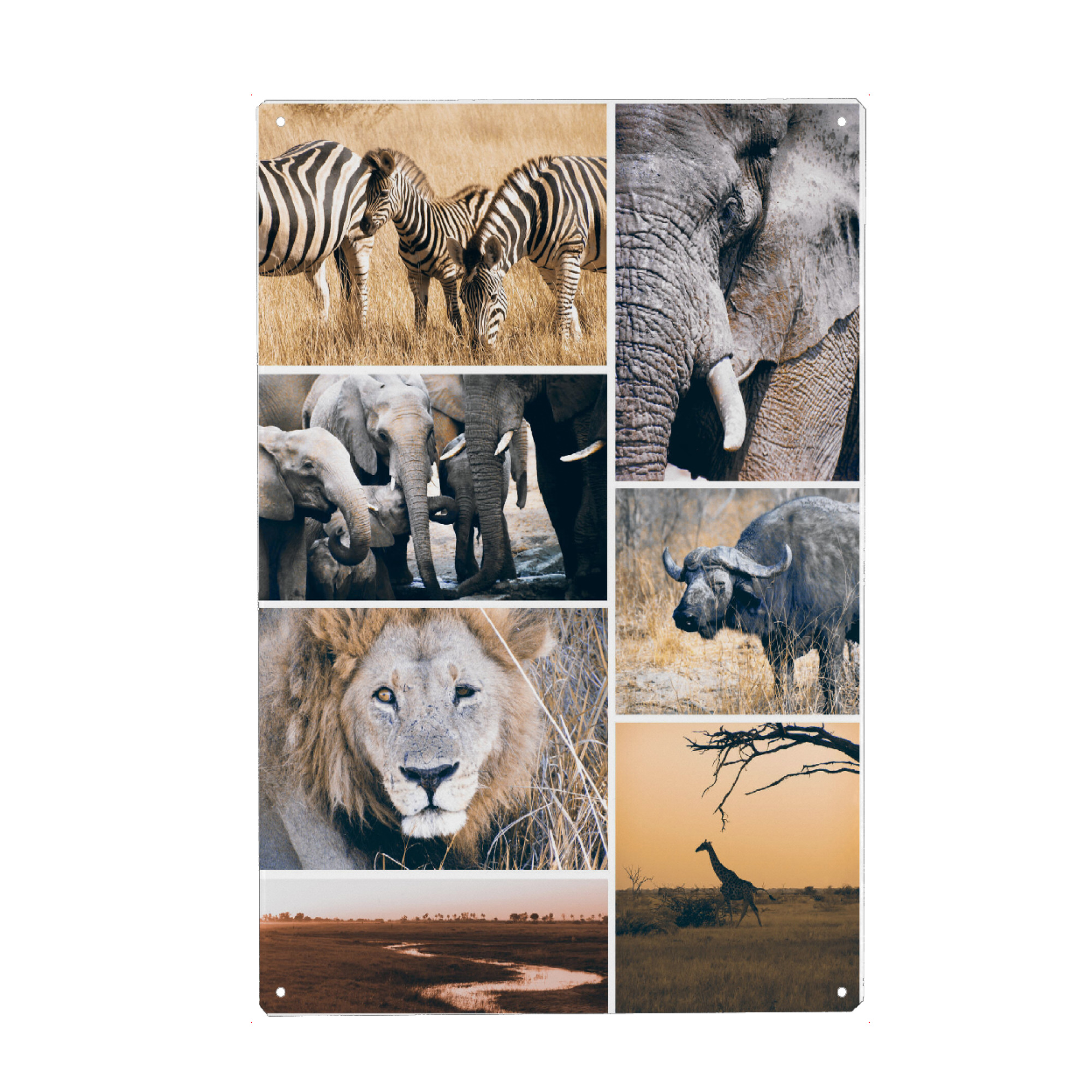 Holzbild "Safari Collage" artboxONE - Natur,Reise,Tiere,Reise / Afrika