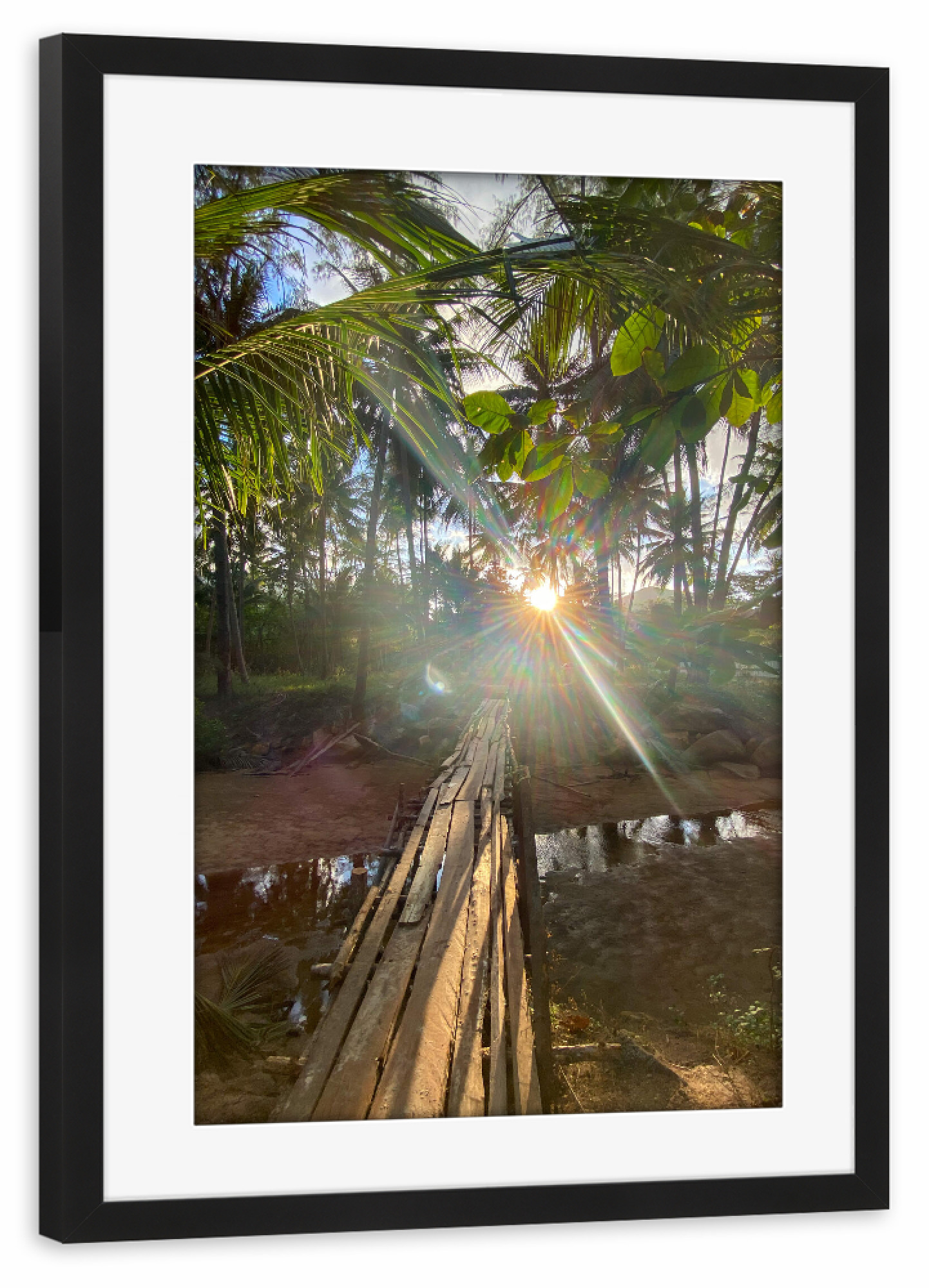 Poster mit Rahmen schwarz "Lightgame" artboxONE - Natur - Thailand,Sun,Light,Lightgames,Palmtrees,Palmen,Natur,Nature,Bäume,Trees,Sunlight,Sonnenlicht