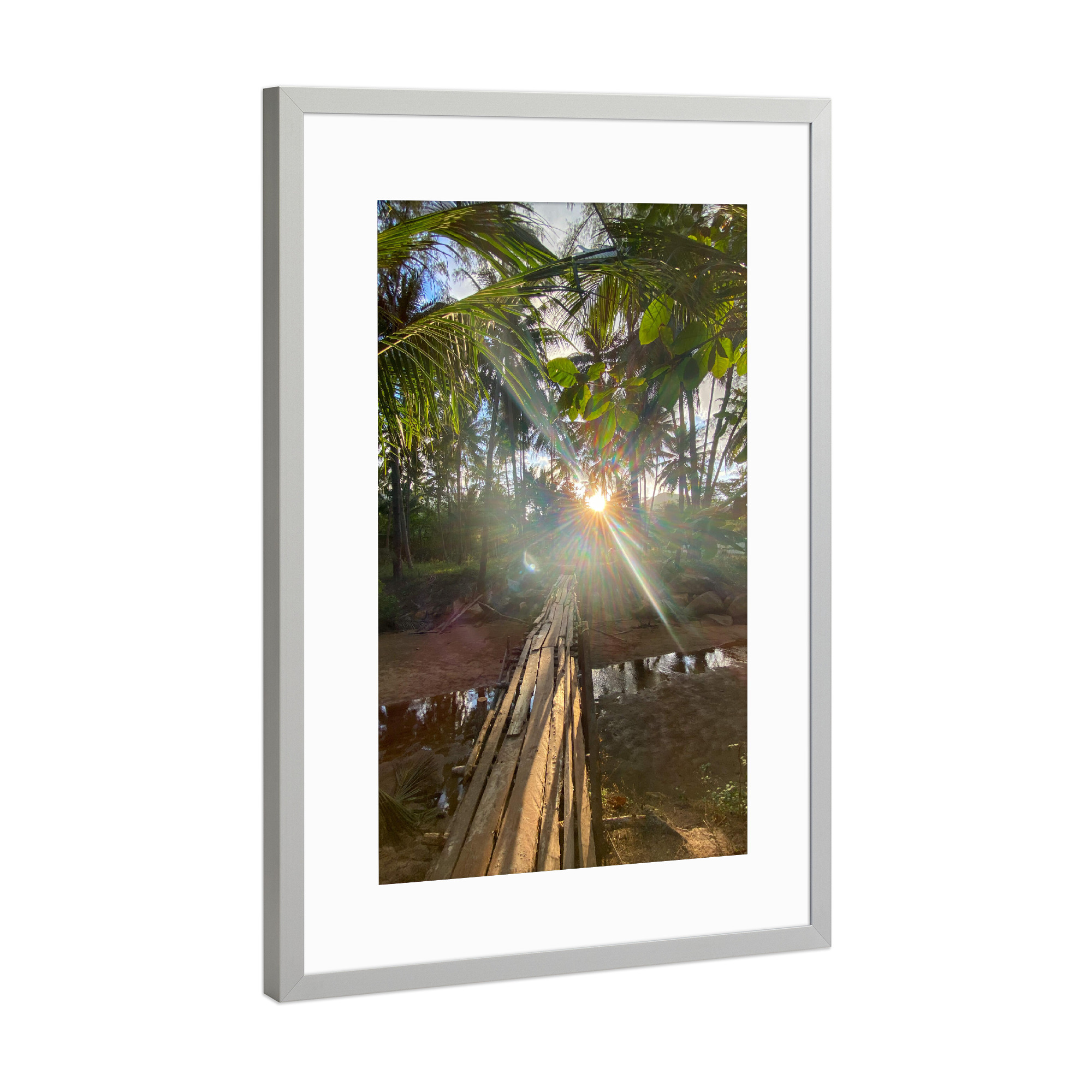 Poster mit Rahmen Silber "Lightgame" artboxONE - Natur - Thailand,Sun,Light,Lightgames,Palmtrees,Palmen,Natur,Nature,Bäume,Trees,Sunlight,Sonnenlicht