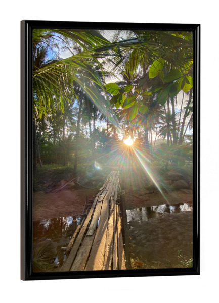 Poster mit schwarzem Rahmen "Lightgame" artboxONE - Natur