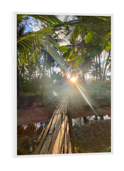 Poster mit weißem Rahmen "Lightgame" artboxONE - Natur - Thailand,Sun,Light,Lightgames,Palmtrees,Palmen,Natur,Nature,Bäume,Trees,Sunlight,Sonnenlicht