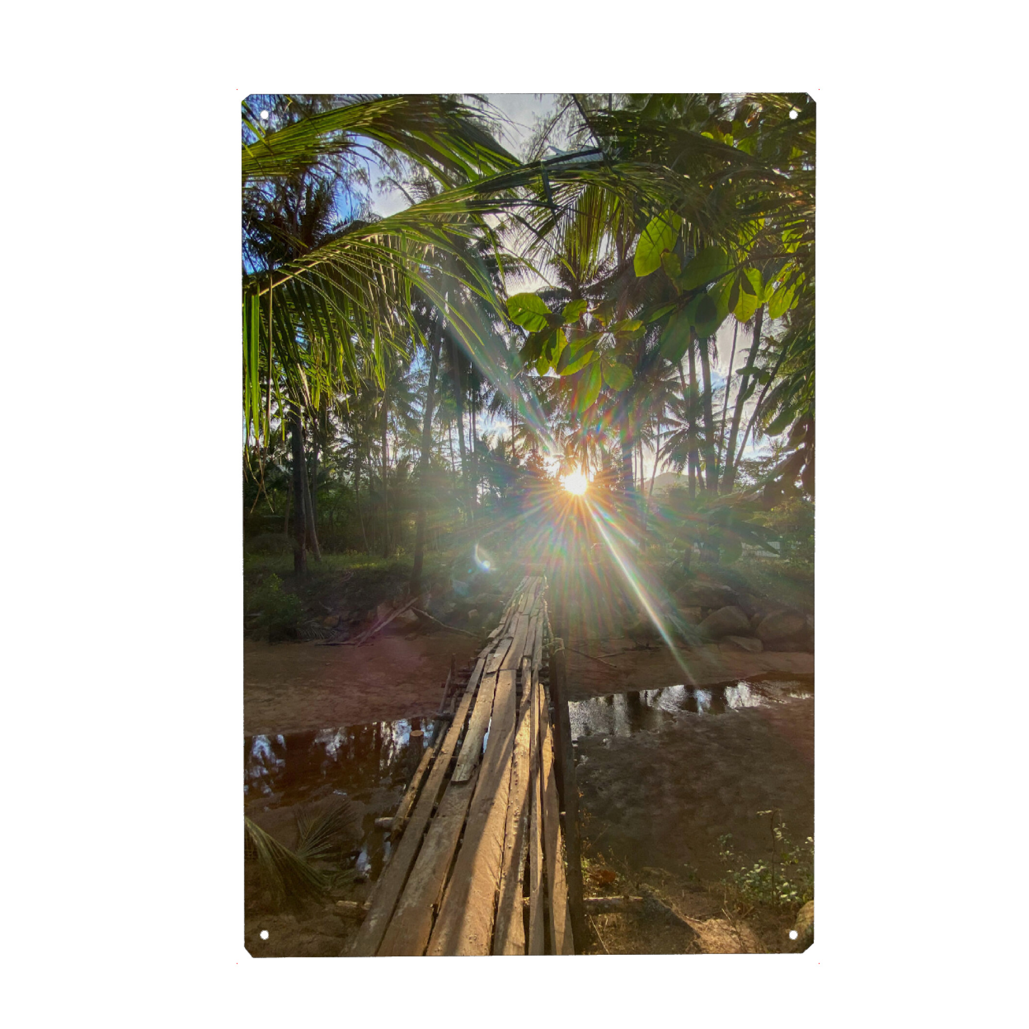 Metall Poster "Lightgame" artboxONE - Natur - Thailand,Sun,Light,Lightgames,Palmtrees,Palmen,Natur,Nature,Bäume,Trees,Sunlight,Sonnenlicht