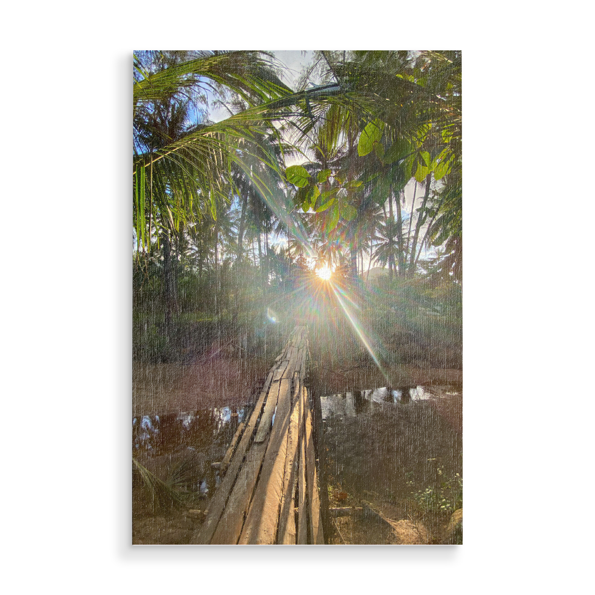 Holzbild "Lightgame" artboxONE - Natur - Thailand,Sun,Light,Lightgames,Palmtrees,Palmen,Natur,Nature,Bäume,Trees,Sunlight,Sonnenlicht