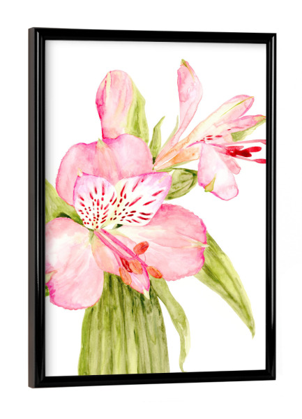 Poster mit schwarzem Rahmen "Pink watercolor alstroemeria" artboxONE - Floral