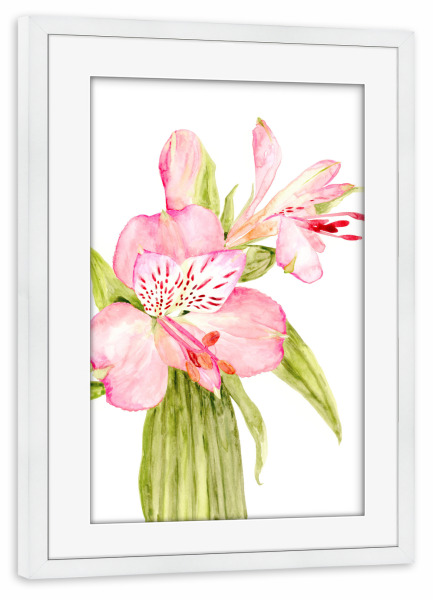 Poster mit Rahmen weiß "Pink watercolor alstroemeria" artboxONE - Floral - Pink,Flower,Alstroemeria,Watercolor,Feminine,Botany,Blumen,Floral,Botanical