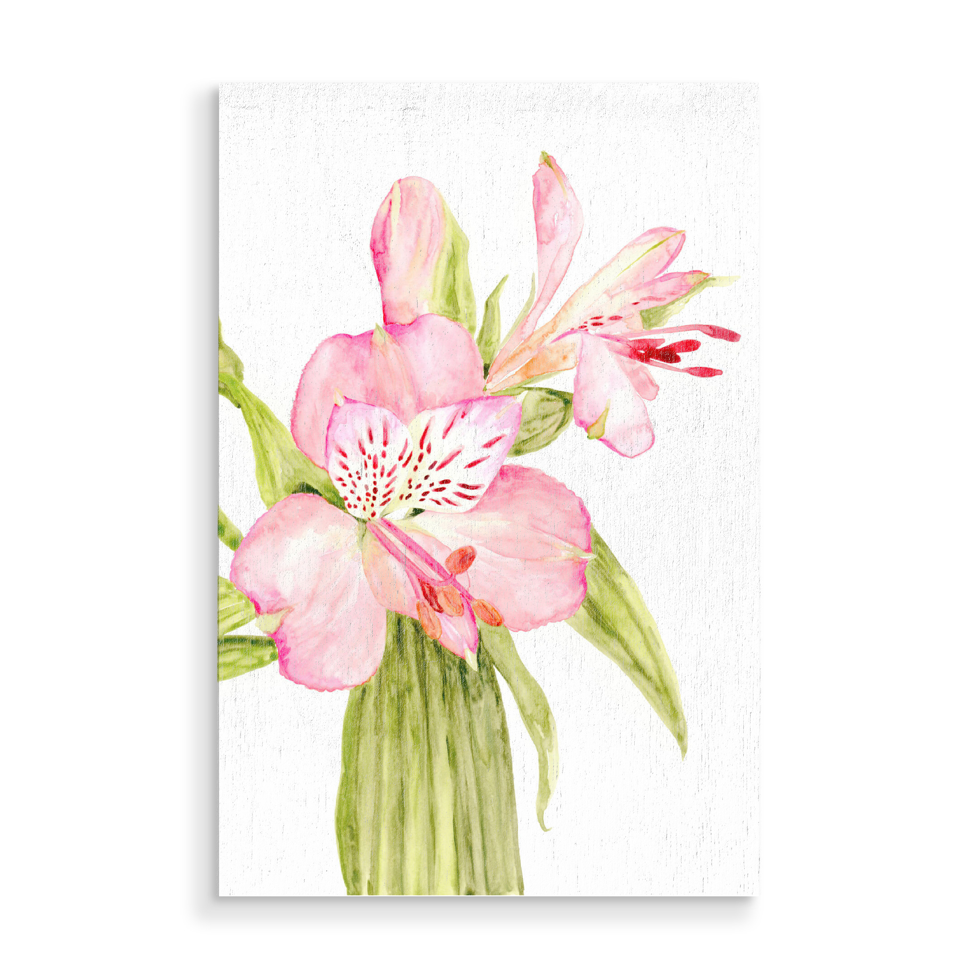 Holzbild "Pink watercolor alstroemeria" artboxONE - Floral - Pink,Flower,Alstroemeria,Watercolor,Feminine,Botany,Blumen,Floral,Botanical