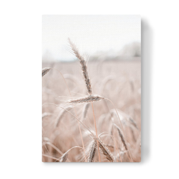 Leinwandbild "Wheet Field" artboxONE - Natur - Wheet,Field,Boho,Feld,Minimal,Pflanzen,Plants,Botanical,Leaves