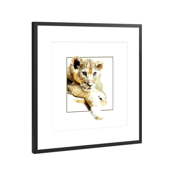 Poster mit Rahmen Schwarz (Metallic) "Löwenbaby" artboxONE - Tiere - Tier,Animal,King,Lion,Löwe,Katze,Cat,Portrait,Framed,Rahmen