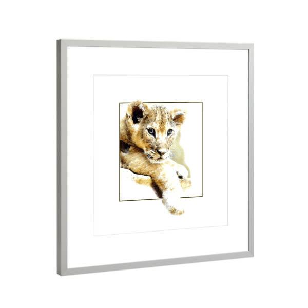 Poster mit Rahmen Silber "Löwenbaby" artboxONE - Tiere - Tier,Animal,King,Lion,Löwe,Katze,Cat,Portrait,Framed,Rahmen