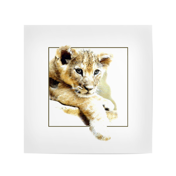 Poster 20x20 cm "Löwenbaby" artboxONE - Tiere - Tier,Animal,King,Lion,Löwe,Katze,Cat,Portrait,Framed,Rahmen