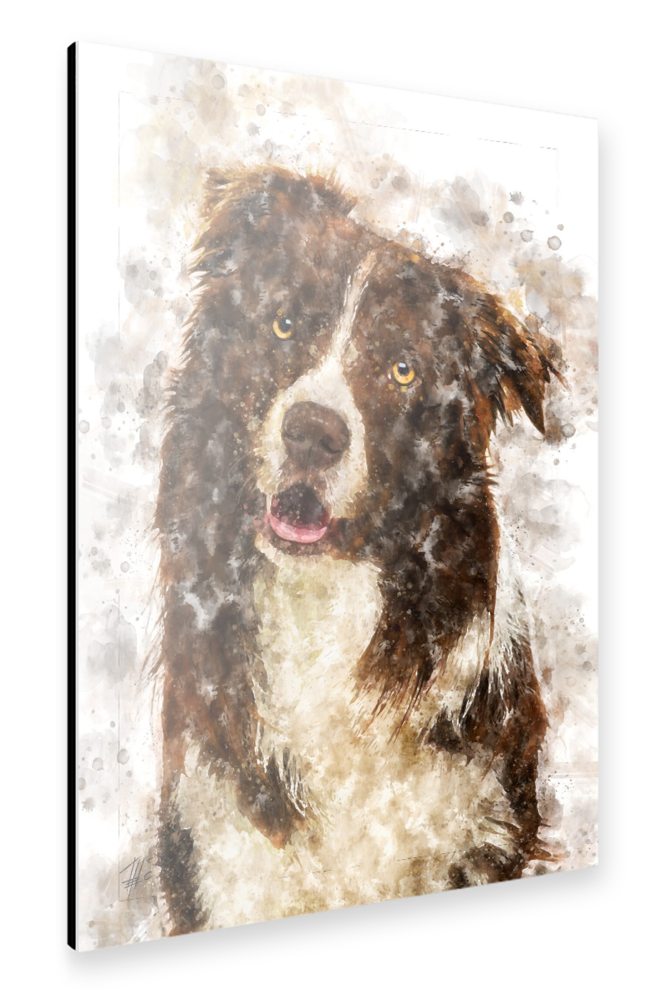 Alu-Dibond "Hund Australian Shepherd" 30x20 cm artboxONE