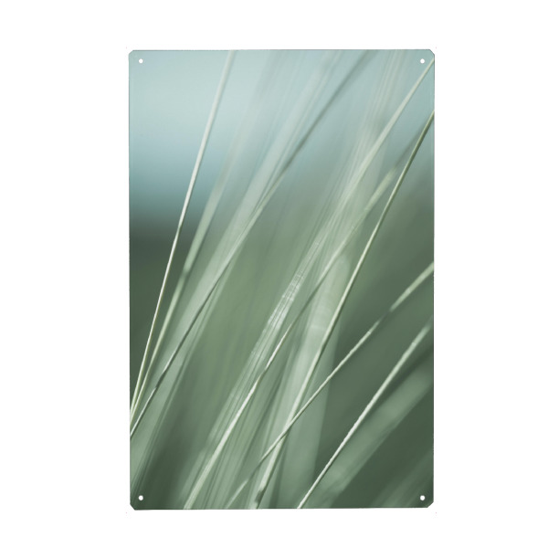 Metall Poster "Green Blades of Grass" artboxONE - Natur,Floral