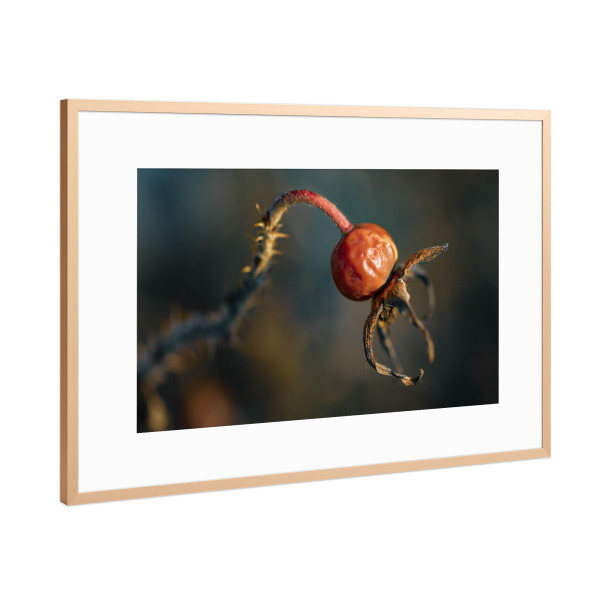 Poster mit Rahmen Kupfer "Out Of The Dark Into The Light" artboxONE - Natur,Floral