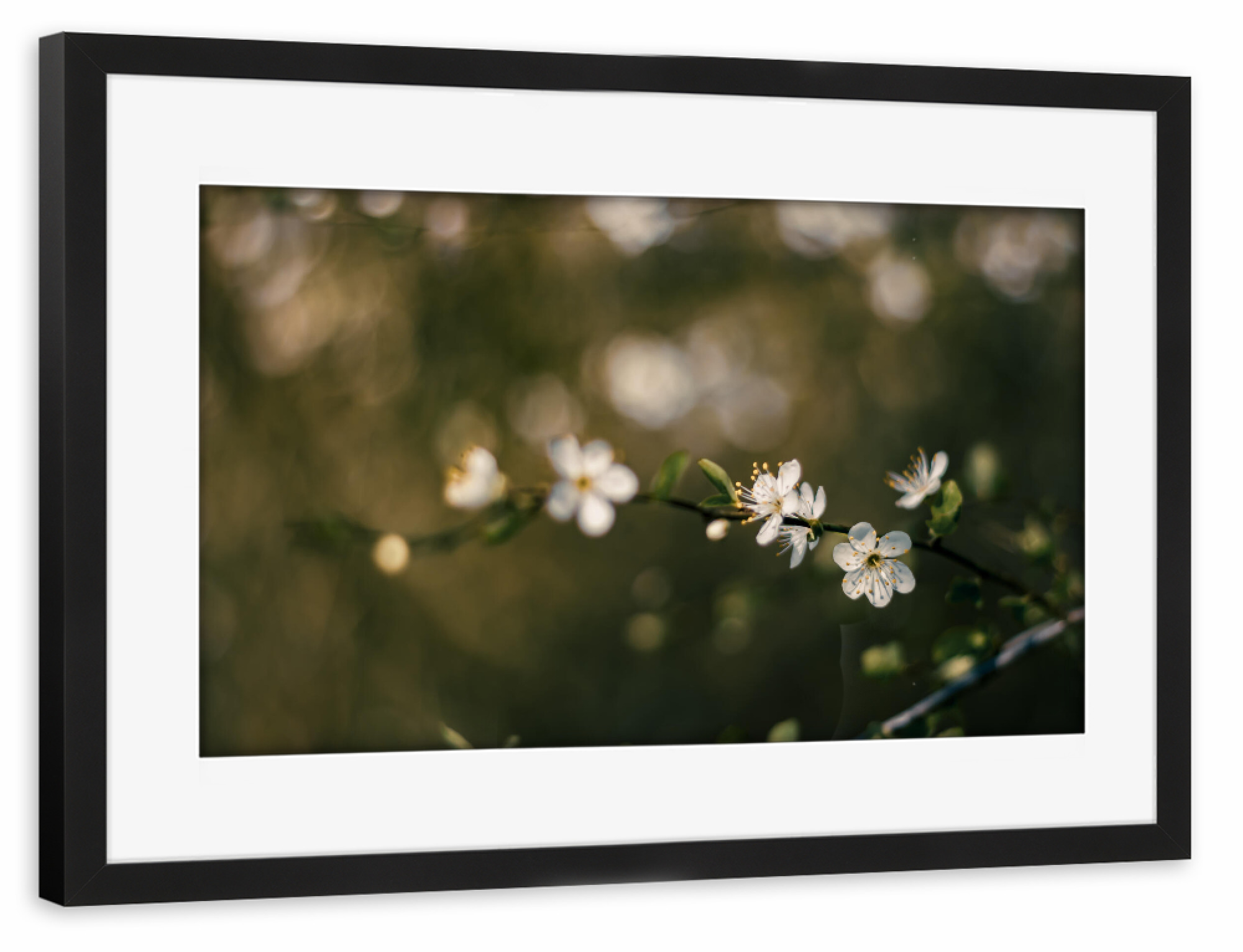 Poster mit Rahmen schwarz "Spring Inside" artboxONE - Natur,Floral