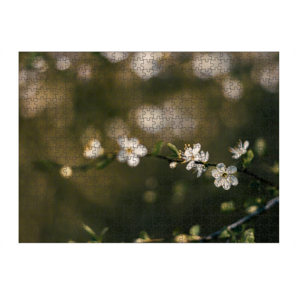 Puzzle Ravensburger "Spring Inside" artboxONE - Natur,Floral