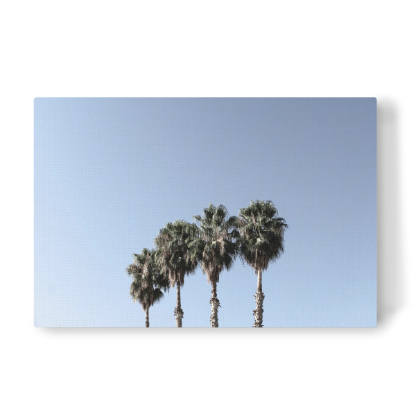 Leinwandbild "Vier Palmen blau/weiß" artboxONE - Natur,Reise,Reise / Länder