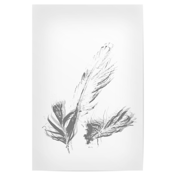 Poster 30x20 cm "Graue Federn" artboxONE - Natur,Schwarzweiß - Graustufen,Ferdern,Boho,Weiß,Grau,Minimalistisch,Feather