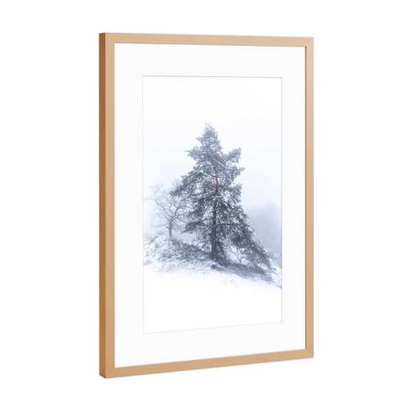 Poster mit Rahmen Kupfer "Winternebel" artboxONE - Natur