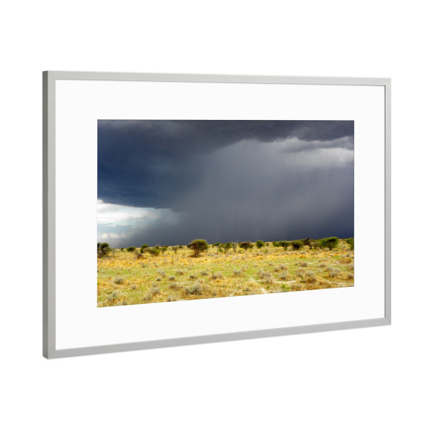 Poster mit Rahmen Silber "Etosha Bushland" artboxONE - Natur,Reise,Reise / Afrika