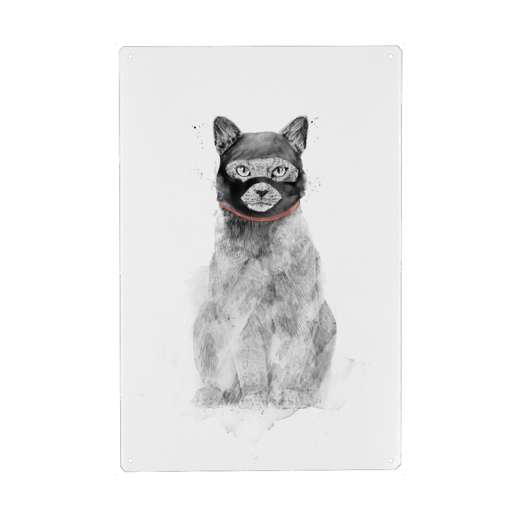 Holzbild "Masked cat" artboxONE - Für Kinder,Tiere,Lustig