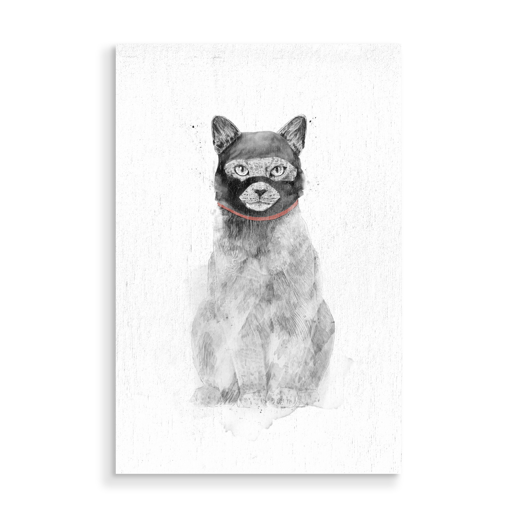 Holzbild "Masked cat" artboxONE - Für Kinder,Tiere,Lustig