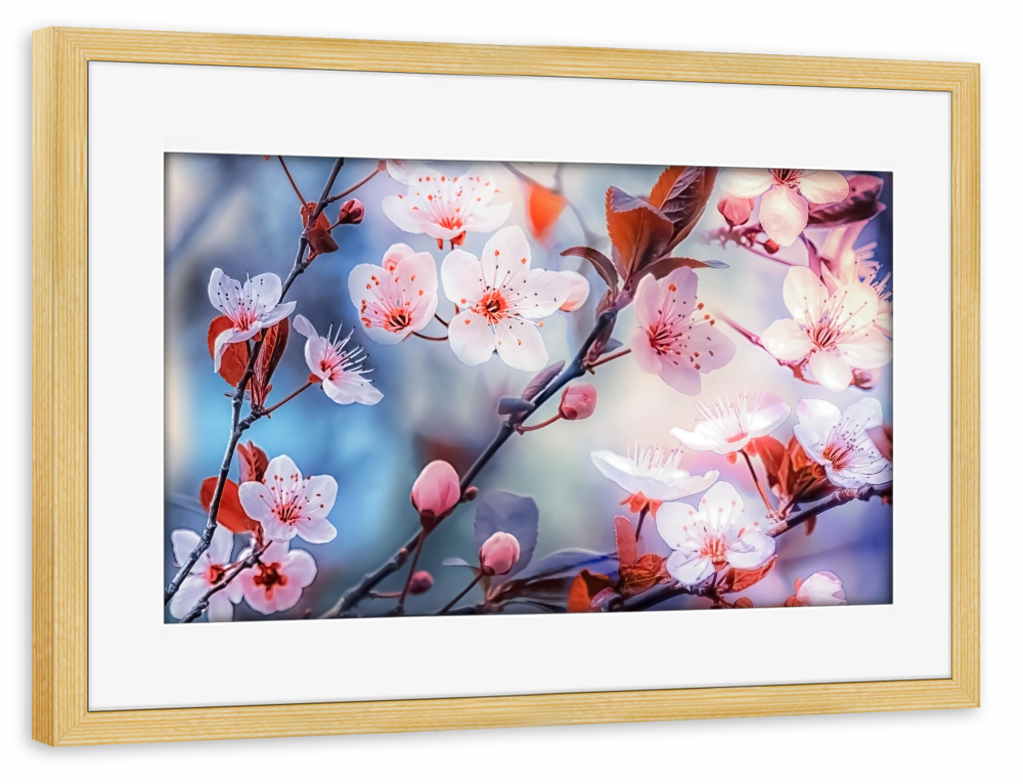 Poster mit Rahmen kiefer "Plum sakura" artboxONE - Natur,Floral,Essen & Trinken / Obst & Gemüse