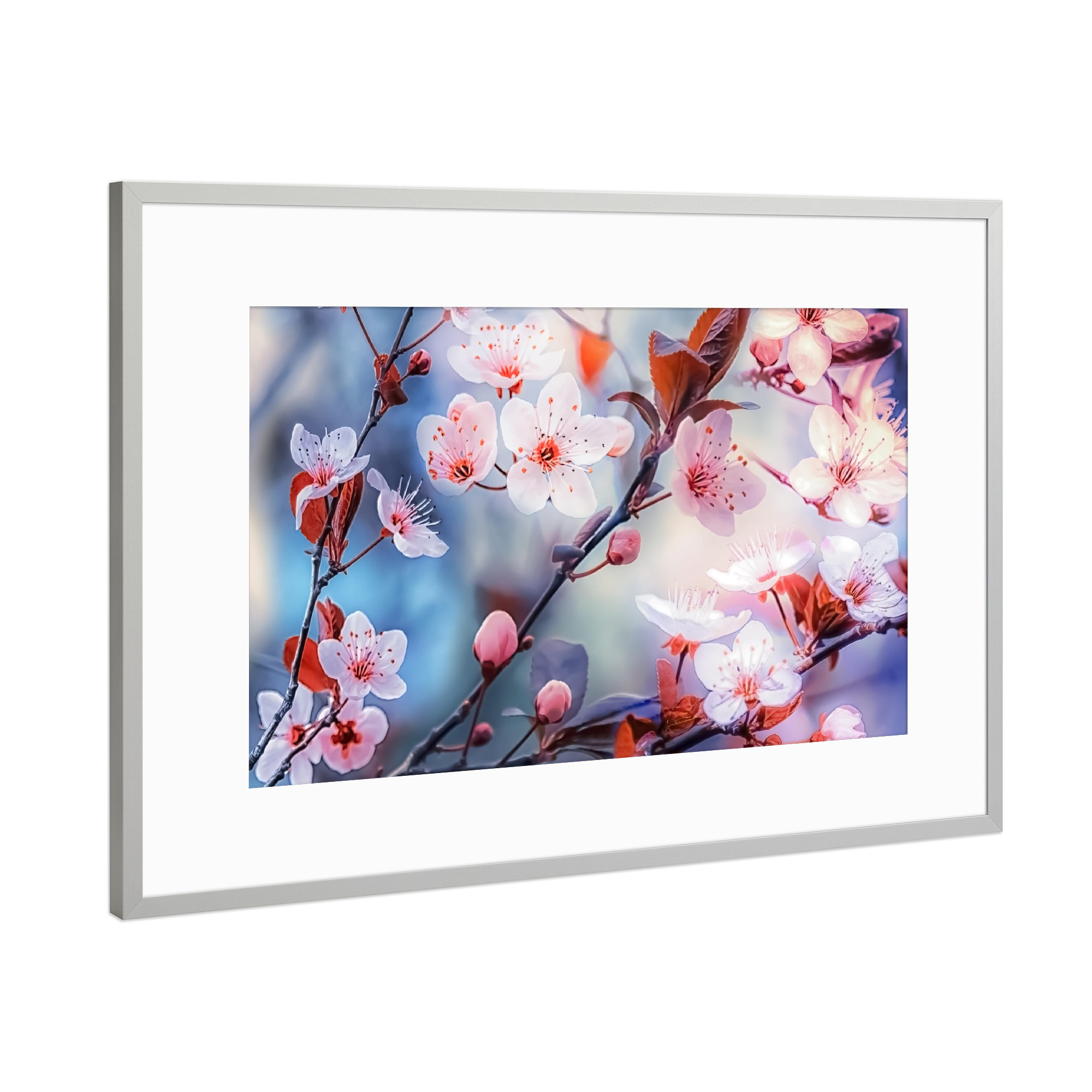 Poster mit Rahmen Silber "Plum sakura" artboxONE - Natur,Floral,Essen & Trinken / Obst & Gemüse