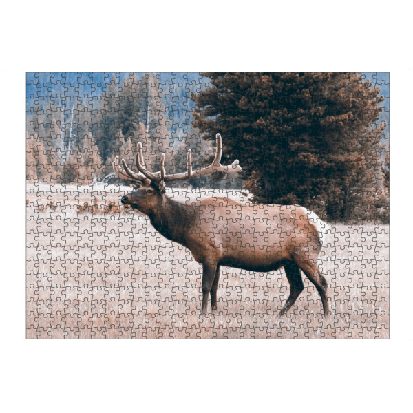Puzzle Ravensburger "Wapiti Elk, Yellowstone" artboxONE - Tiere,Reise / Länder