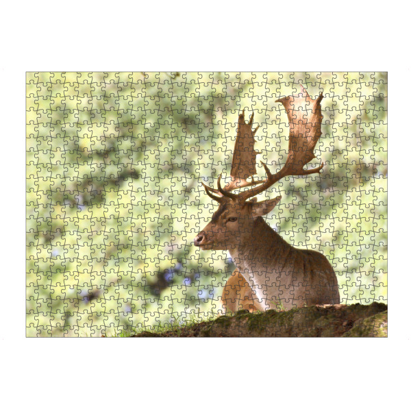 Puzzle Ravensburger "Damwild-Hirsch" artboxONE - Natur,Tiere - Nature,Forest,Wald,Hirsch,Deer,Calm,Tier,Animal,Reh,Natur - Bild nature