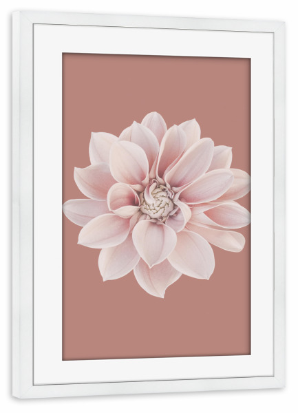Poster mit Rahmen weiß "Dahlientraum" artboxONE - Natur,Floral