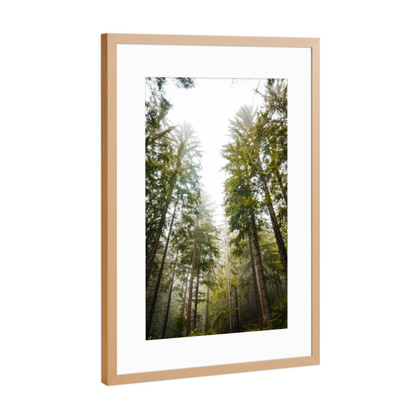 Poster mit Rahmen Kupfer "Waldlichtung" artboxONE - Natur