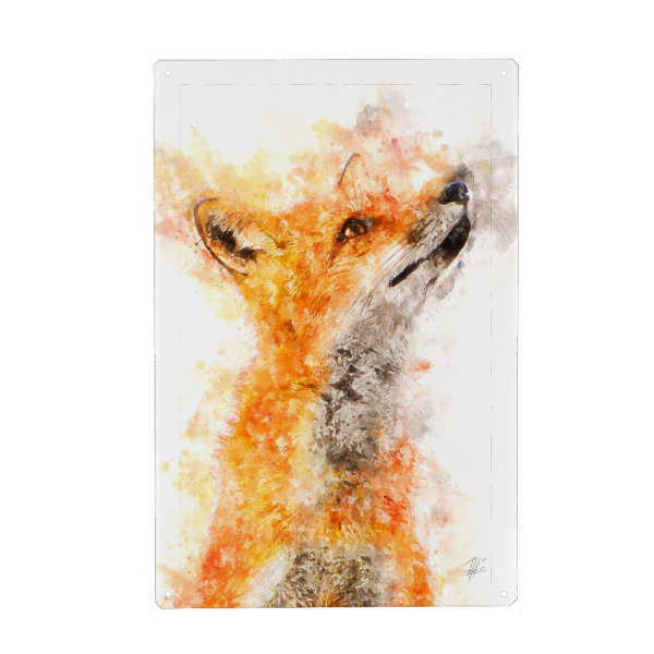 Metall Poster "Fuchs Porträt" artboxONE - Natur,Tiere - Natur,Tierwelt,Wildnis,Jäger,Fell,Wild,Wald,Tiere,Fuchs,Fox,Animal,Tier,Portrait,Malerei