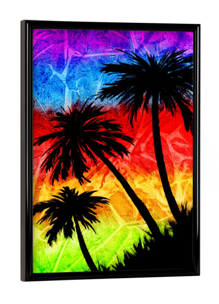 Poster mit schwarzem Rahmen "Regenbogen Palmen Schatten" artboxONE - Natur,Abstrakt