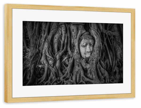 Poster mit Rahmen kiefer "Ayutthaya" artboxONE - Städte,Natur,Reise,Reise / Asien,Reise / Länder