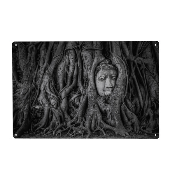 Holzbild "Ayutthaya" artboxONE - Städte,Natur,Reise,Reise / Asien,Reise / Länder - Buddha,Temple,Head,Ayutthaya,Tree,Banyan,Wat mahathat's