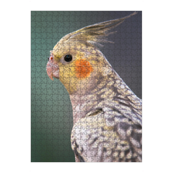 Puzzle Ravensburger "Portrait of a Cockatiel" artboxONE - Tiere