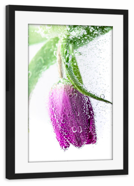Poster mit Rahmen schwarz "Blumen in Wasser" artboxONE - Floral