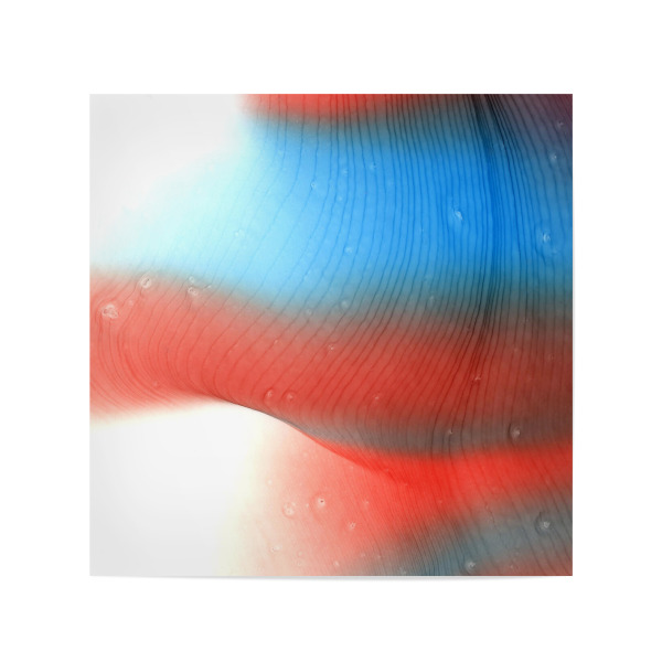 Poster 20x20 cm "Hot n Cold" artboxONE - Abstrakt