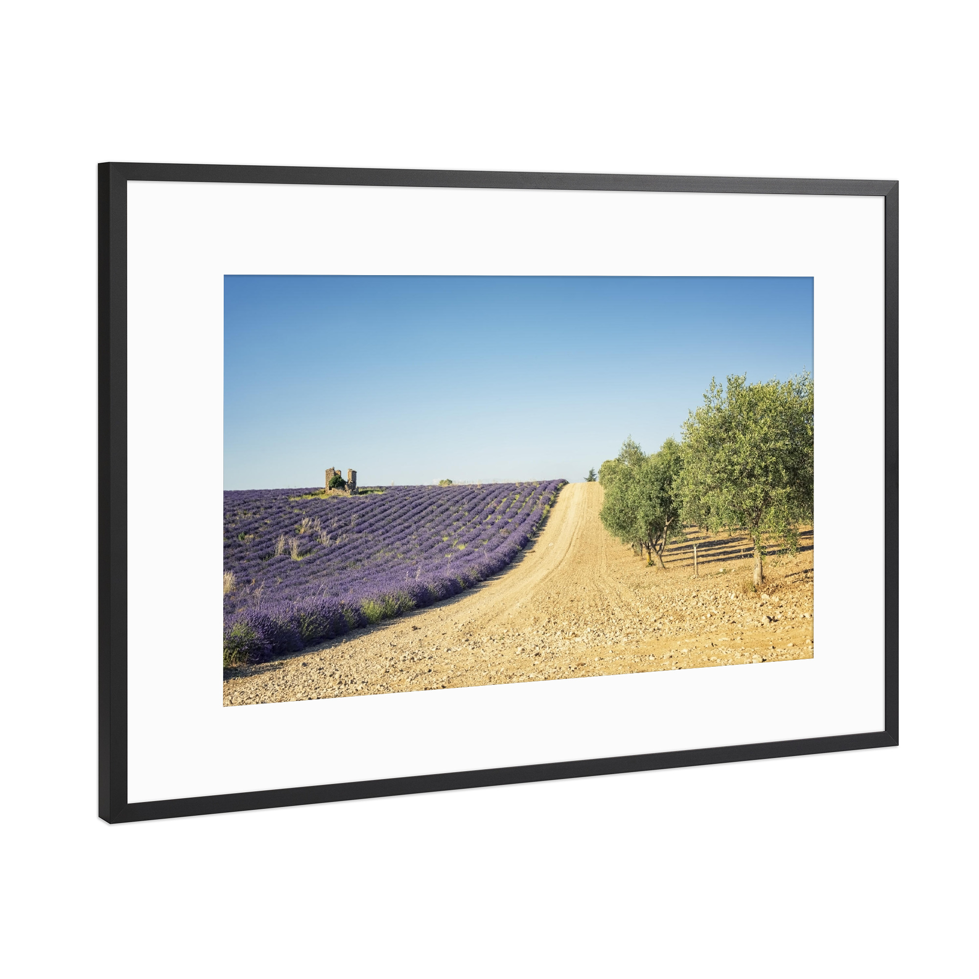 Poster mit Rahmen Schwarz (Metallic) "Lavender vs olive trees" artboxONE - Natur,Reise,Floral,Reise / Länder