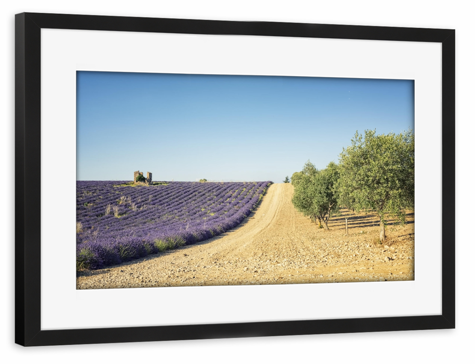 Poster mit Rahmen schwarz "Lavender vs olive trees" artboxONE - Natur,Reise,Floral,Reise / Länder