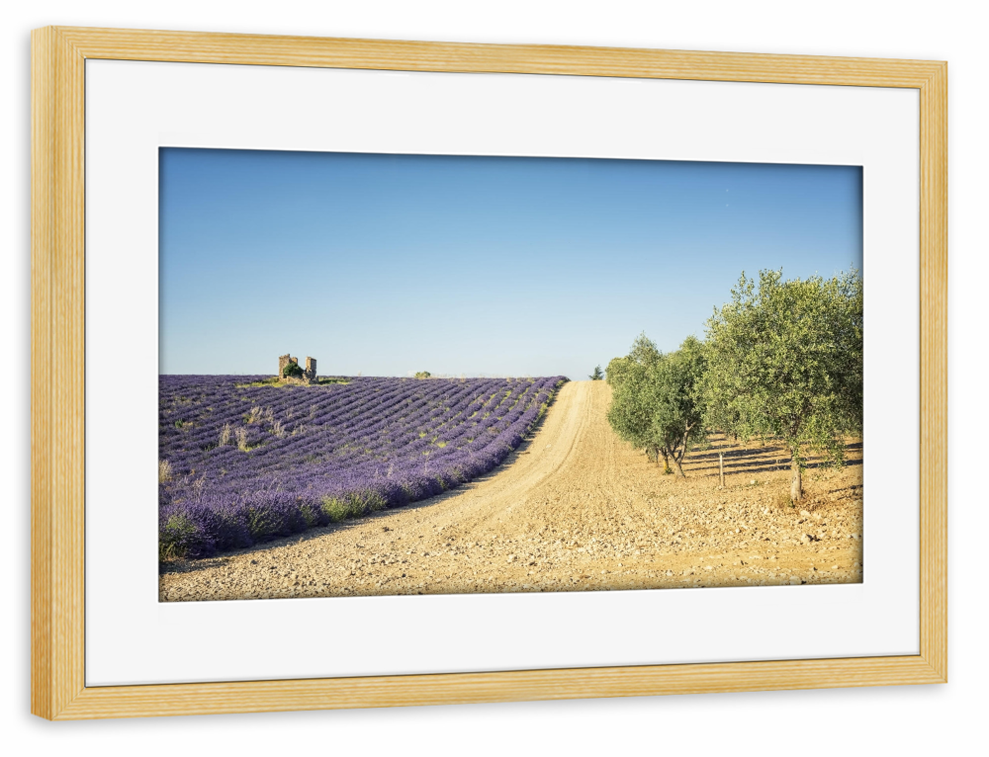 Poster mit Rahmen kiefer "Lavender vs olive trees" artboxONE - Natur,Reise,Floral,Reise / Länder