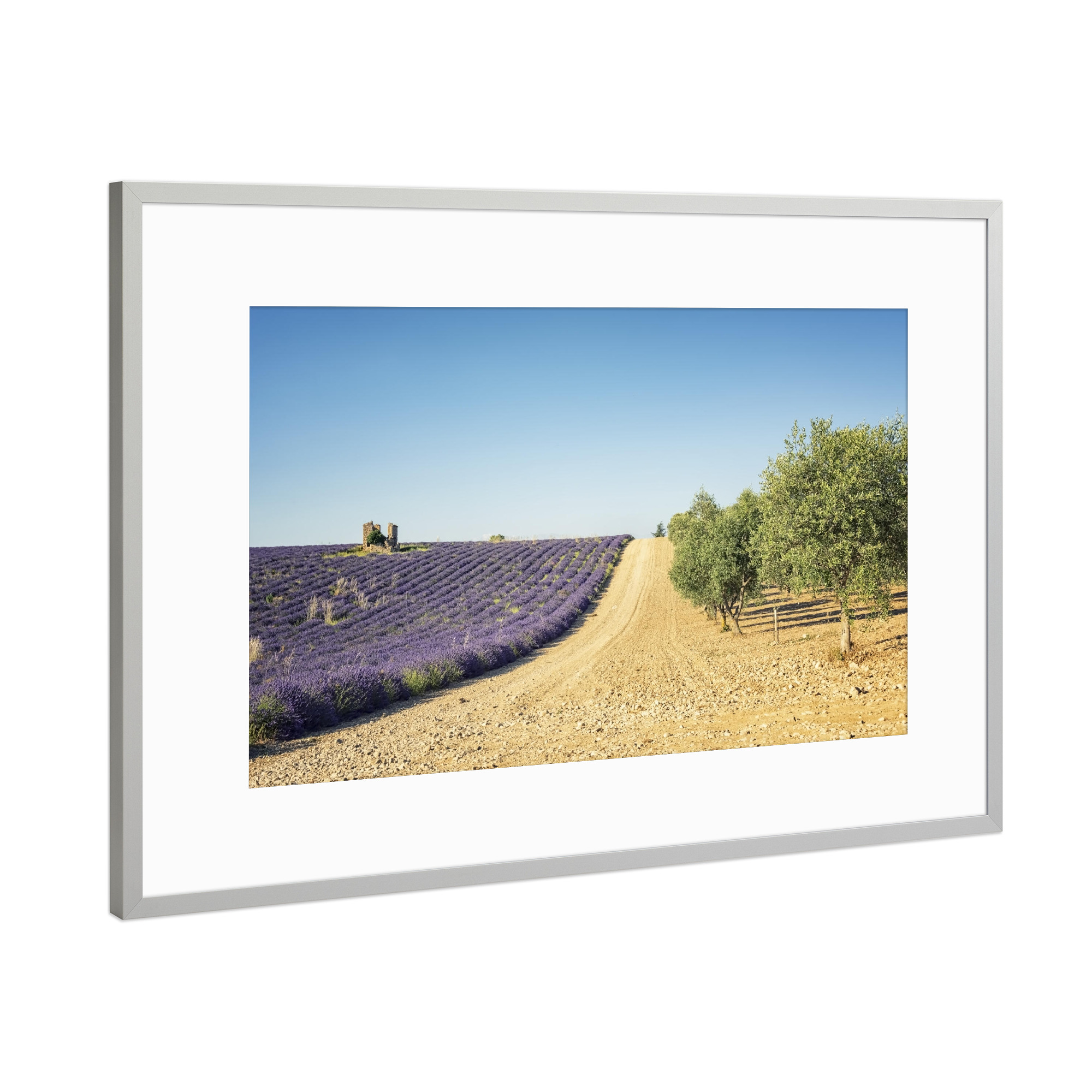 Poster mit Rahmen Silber "Lavender vs olive trees" artboxONE - Natur,Reise,Floral,Reise / Länder