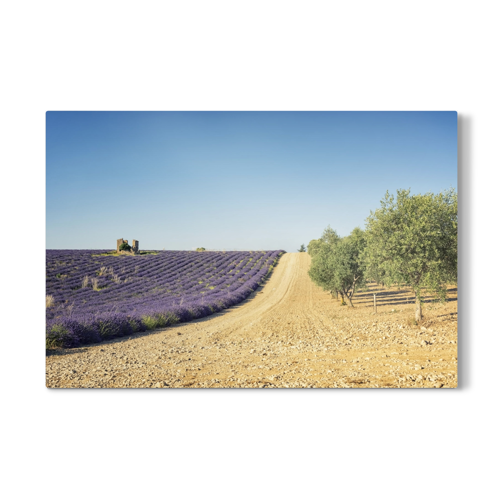 Galerie-Print "Lavender vs olive trees" 30x20 cm artboxONE