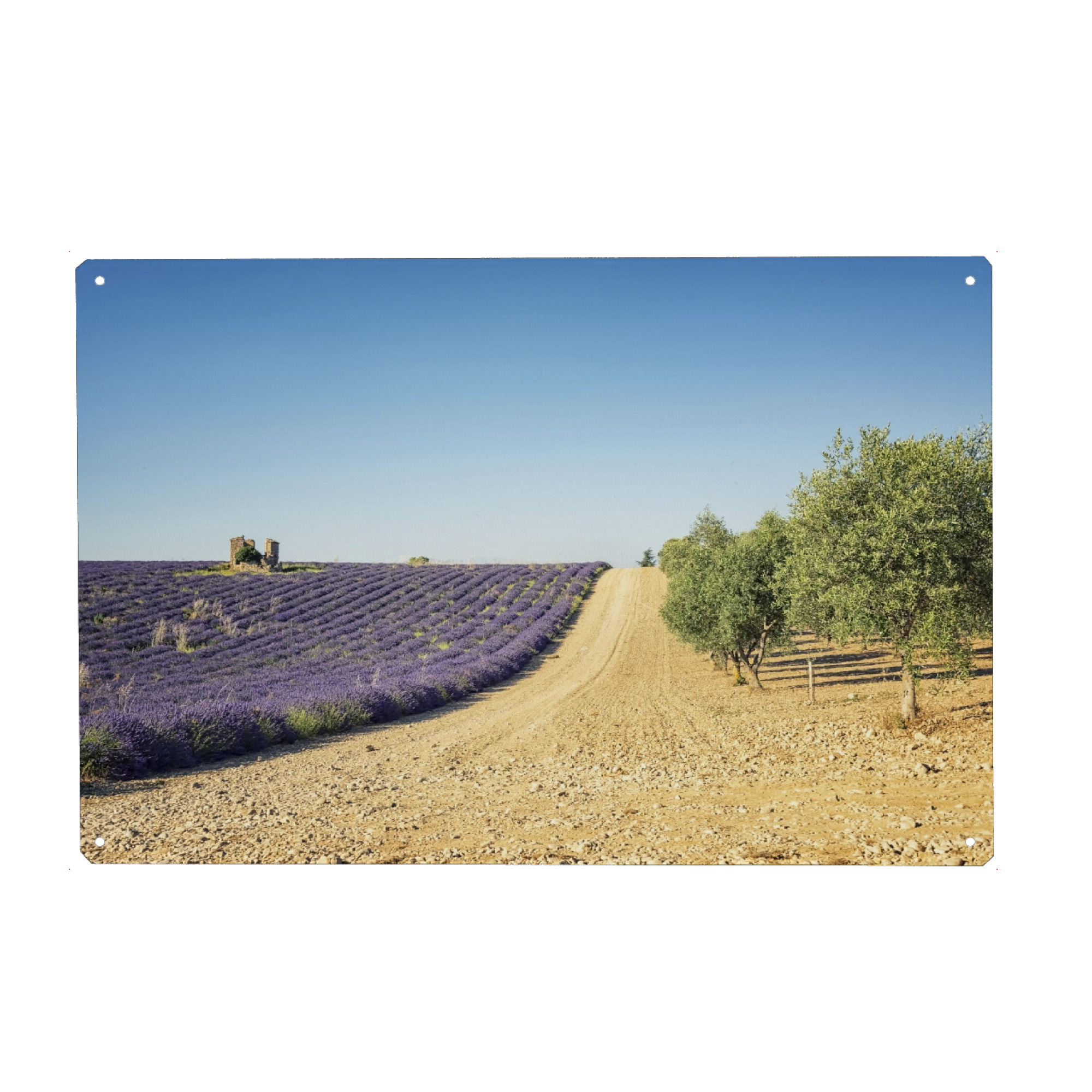 Holzbild "Lavender vs olive trees" artboxONE - Natur,Reise,Floral,Reise / Länder