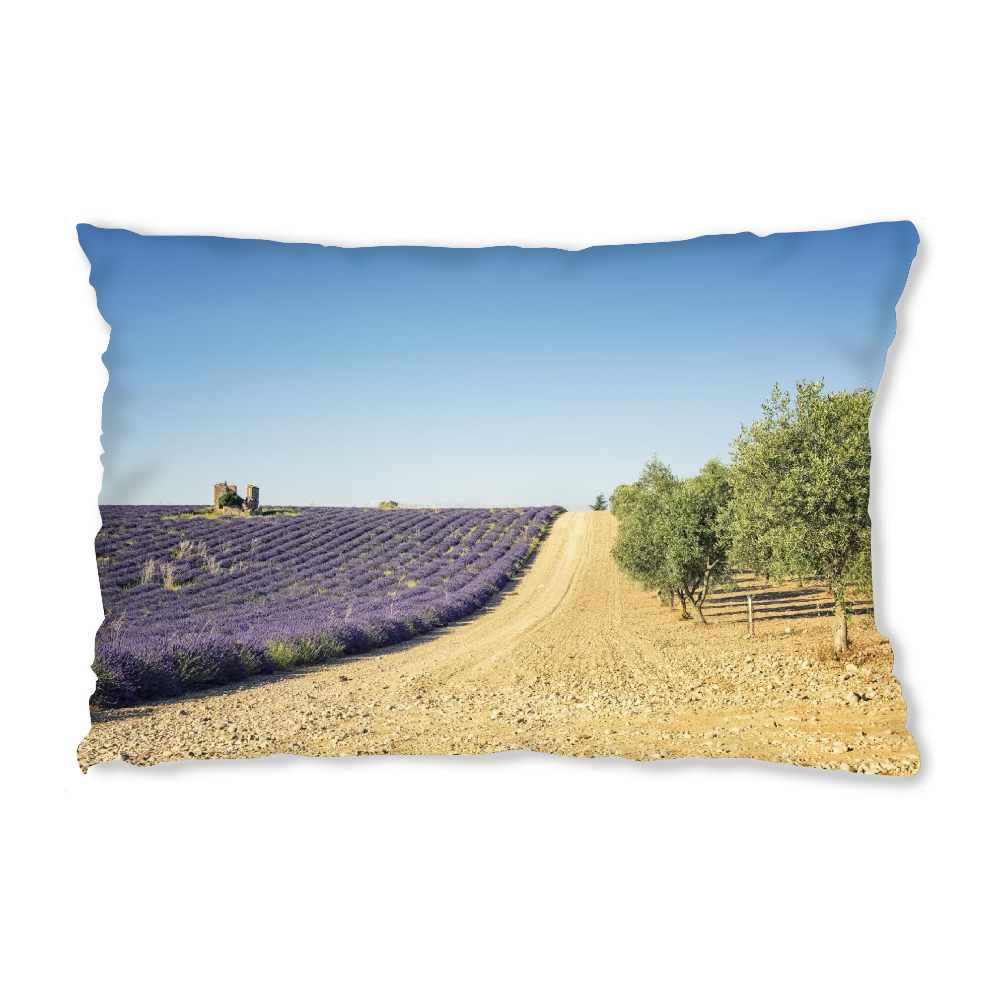 Design-Kissen "Lavender vs olive trees" artboxONE - Natur,Reise,Floral,Reise / Länder