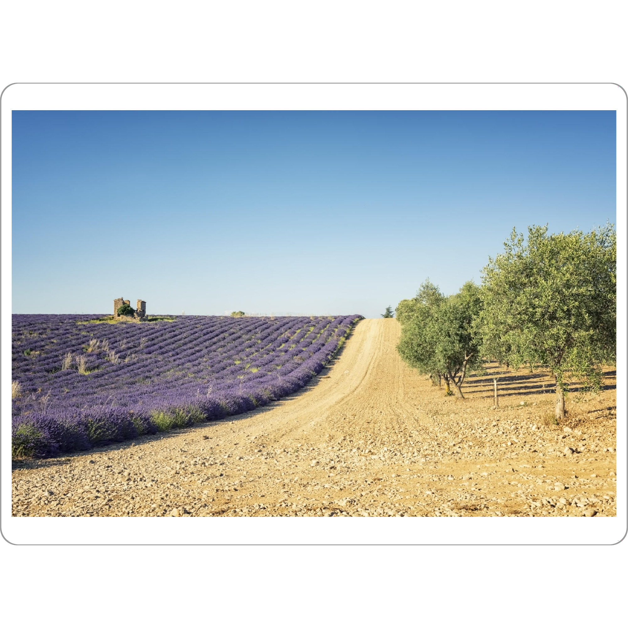 Tischset "Lavender vs olive trees" artboxONE - Natur,Reise,Floral,Reise / Länder