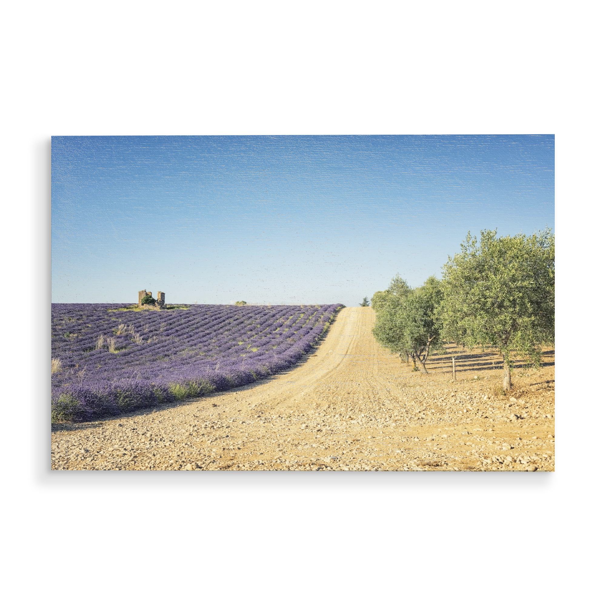 Holzbild "Lavender vs olive trees" artboxONE - Natur,Reise,Floral,Reise / Länder